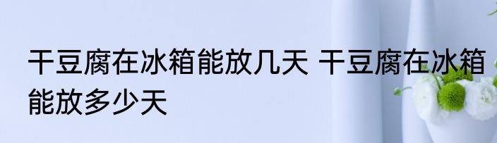 干豆腐在冰箱能放几天 干豆腐在冰箱能放多少天