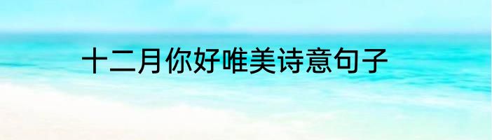 十二月你好唯美诗意句子