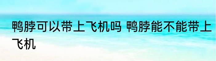 鸭脖可以带上飞机吗 鸭脖能不能带上飞机