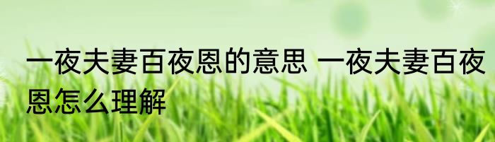 一夜夫妻百夜恩的意思 一夜夫妻百夜恩怎么理解
