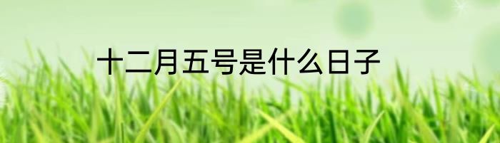 十二月五号是什么日子
