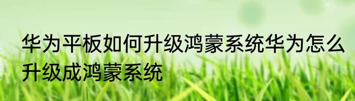 华为平板如何升级鸿蒙系统华为怎么升级成鸿蒙系统