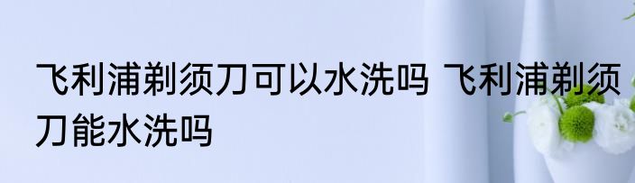 飞利浦剃须刀可以水洗吗 飞利浦剃须刀能水洗吗