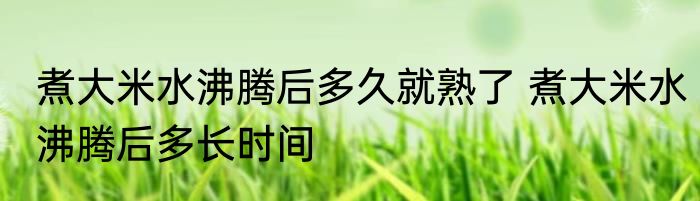 煮大米水沸腾后多久就熟了 煮大米水沸腾后多长时间