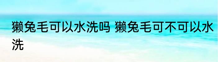 獭兔毛可以水洗吗 獭兔毛可不可以水洗
