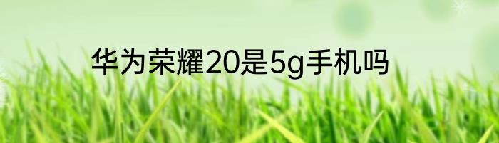 华为荣耀20是5g手机吗