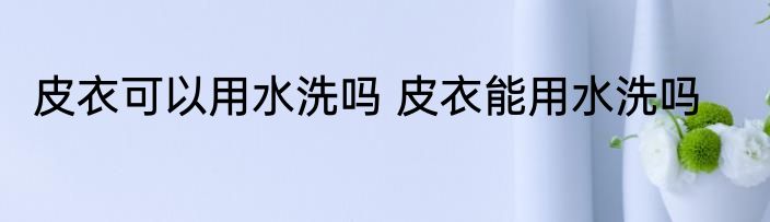 皮衣可以用水洗吗 皮衣能用水洗吗