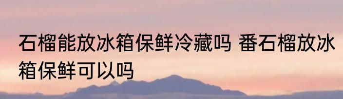 石榴能放冰箱保鲜冷藏吗 番石榴放冰箱保鲜可以吗