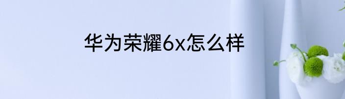 华为荣耀6x怎么样