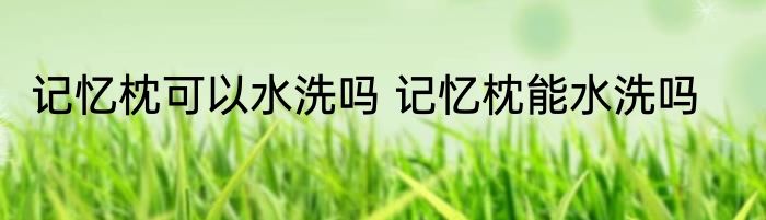 记忆枕可以水洗吗 记忆枕能水洗吗