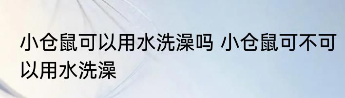 小仓鼠可以用水洗澡吗 小仓鼠可不可以用水洗澡