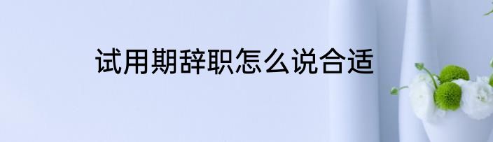 试用期辞职怎么说合适
