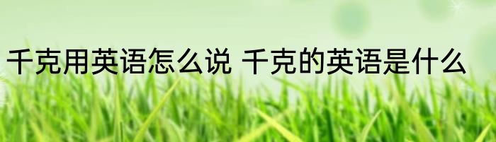 千克用英语怎么说 千克的英语是什么