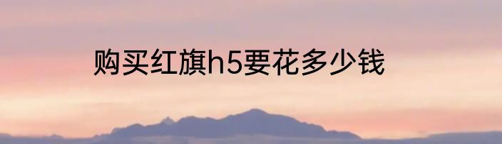 购买红旗h5要花多少钱