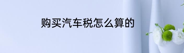 购买汽车税怎么算的