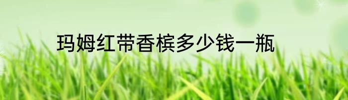 玛姆红带香槟多少钱一瓶