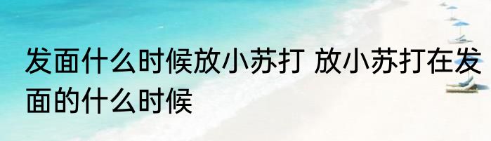 发面什么时候放小苏打 放小苏打在发面的什么时候