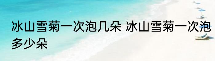 冰山雪菊一次泡几朵 冰山雪菊一次泡多少朵