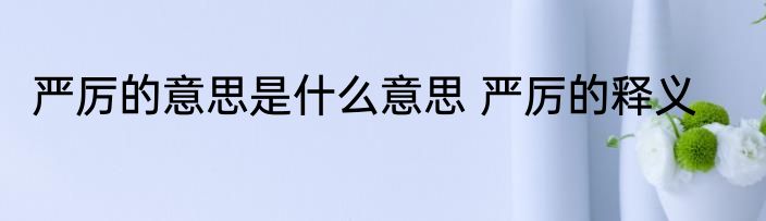 严厉的意思是什么意思 严厉的释义