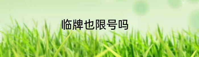 临牌也限号吗