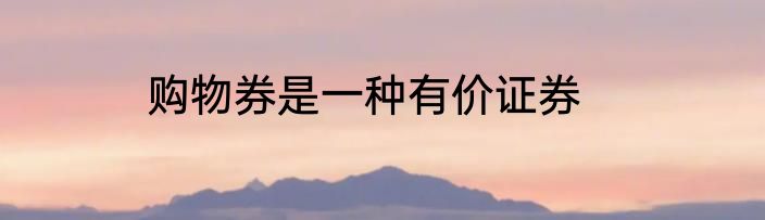 购物券是一种有价证券