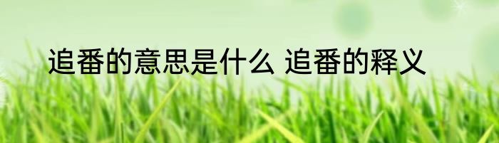 追番的意思是什么 追番的释义