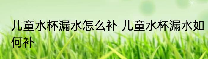 儿童水杯漏水怎么补 儿童水杯漏水如何补