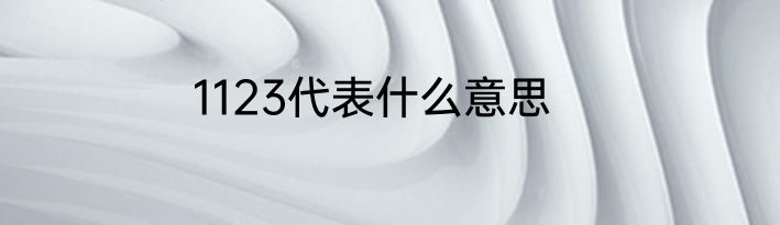 1123代表什么意思