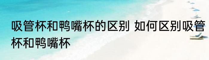 吸管杯和鸭嘴杯的区别 如何区别吸管杯和鸭嘴杯