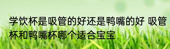 学饮杯是吸管的好还是鸭嘴的好 吸管杯和鸭嘴杯哪个适合宝宝