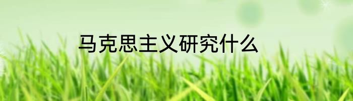 马克思主义研究什么