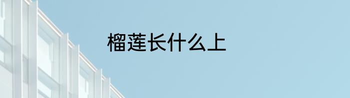 榴莲长什么上
