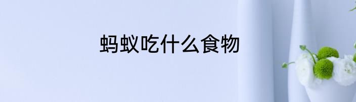 蚂蚁吃什么食物