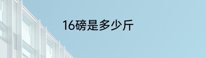 16磅是多少斤