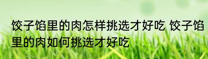饺子馅里的肉怎样挑选才好吃 饺子馅里的肉如何挑选才好吃