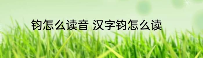 钧怎么读音 汉字钧怎么读