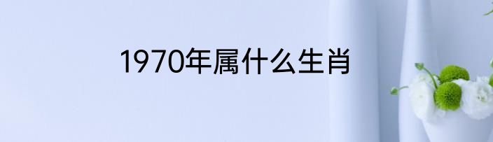 1970年属什么生肖