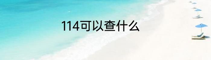 114可以查什么