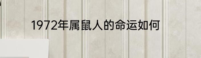 1972年属鼠人的命运如何