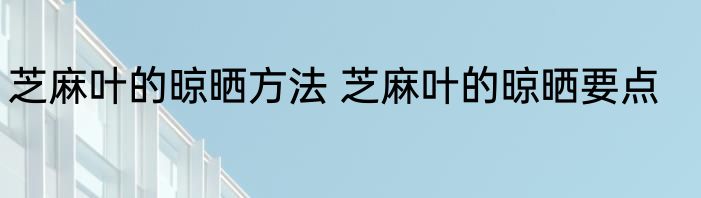 芝麻叶的晾晒方法 芝麻叶的晾晒要点