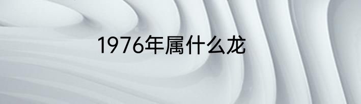 1976年属什么龙