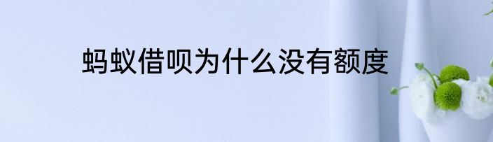 蚂蚁借呗为什么没有额度