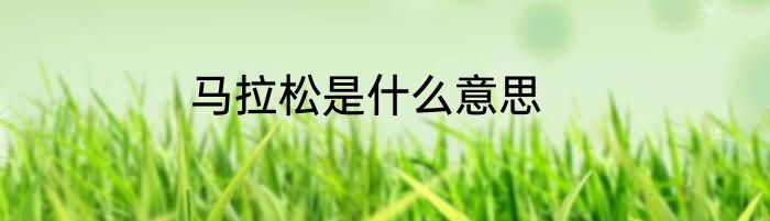 马拉松是什么意思