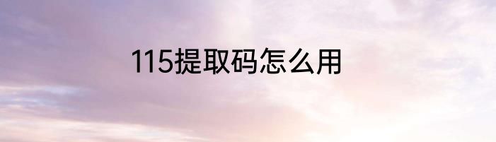 115提取码怎么用