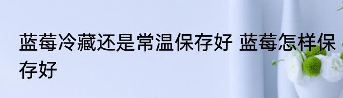 蓝莓冷藏还是常温保存好 蓝莓怎样保存好