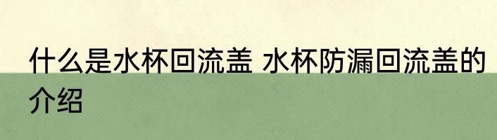 什么是水杯回流盖 水杯防漏回流盖的介绍