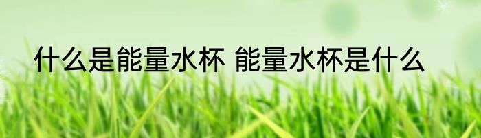 什么是能量水杯 能量水杯是什么