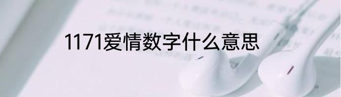 1171爱情数字什么意思