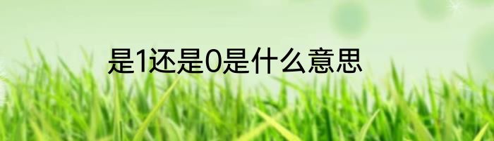 是1还是0是什么意思