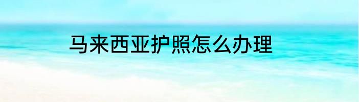 马来西亚护照怎么办理